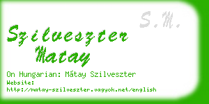 szilveszter matay business card